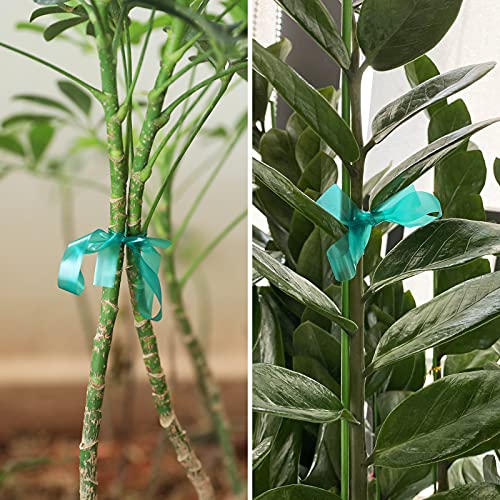 KINGLAKE GARDEN Stretch Tie Tape Roll-4 Rolls Total 600 Feet 1/2" Green Garden Tape,Plant Ribbons Plant Garden Tie for Branches, Climbing Planters, Flowers (Pack of 3) 600 Feet (Pack of 3)