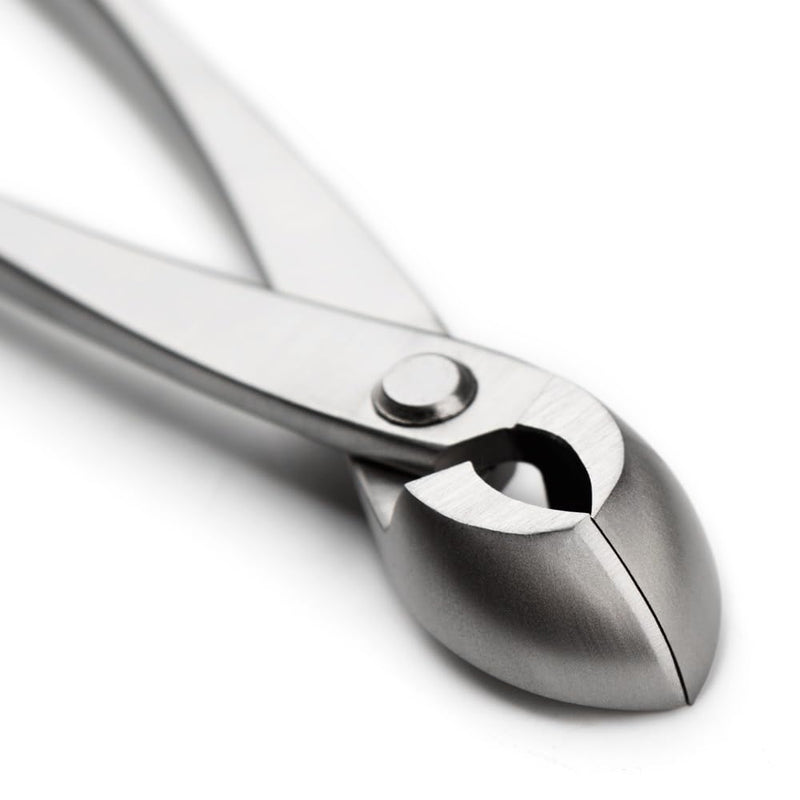 tianbonsai Bonsai Tools 205 Mm Round Edge Cutter Multifunctional Bonsai Cutter With Both Straight Edge And Round Edge