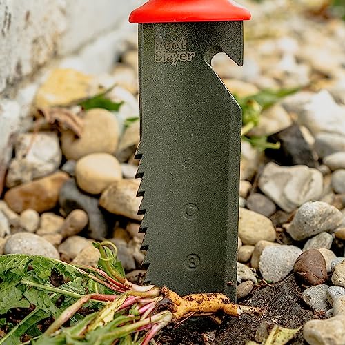 Radius Garden 16211 Root Slayer Soil Knife, Red (Pack of 3) Contemporary