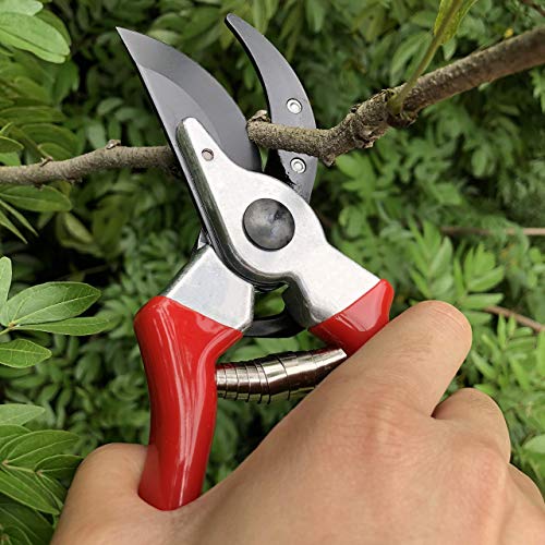 gonicc 8" Professional Sharp Bypass Pruning Shears(GPPS-1002) and Micro-Tip Pruning Snip (GPPS-1008), Tree Trimmers Secateurs,Hand Pruner, Garden Shears,Clippers for The Garden.