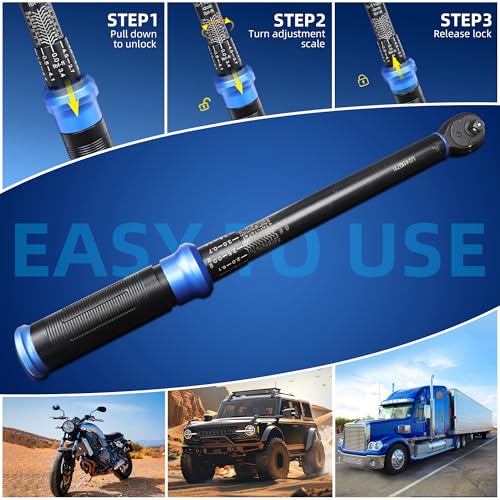 3/8-Inch Drive Click Torque Wrench, Dual-Direction Click Professional Torque Wrench 10-110FT.LB/13.6-135.6N.M, Dual Range Scales Graduated in FT.LB and N.M, Blue 3/8" 10-110 FT.LB