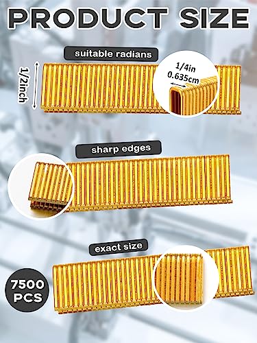 Tinlade 7500 Counts 18 Gauge 1/2 x 1/4 Inch Gold Galvanized Finish Narrow Crown Staples for Pneumatic, Electric Stapler/Brad Nailer