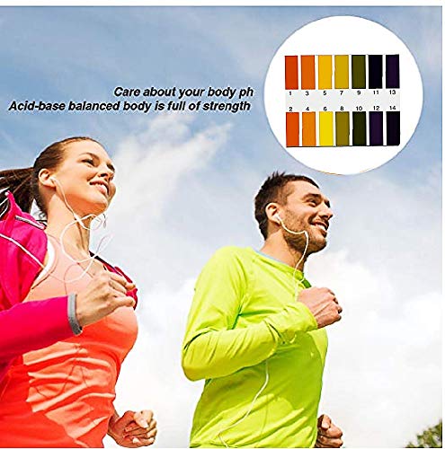Pack of 240 pH Indicator Test Strips, 1-14, Litmus Paper, Ideal for Testing many Everyday Substances 1-in-1