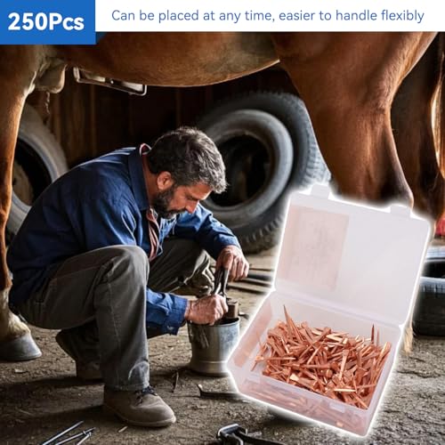 250PCS Horseshoe Nails, Horse Shoe Nails High Tensile Strength Precision Nails Copper Plated Horse Horseshoe Nail Set for Horse Racing Training Riding Equestrian Sporting