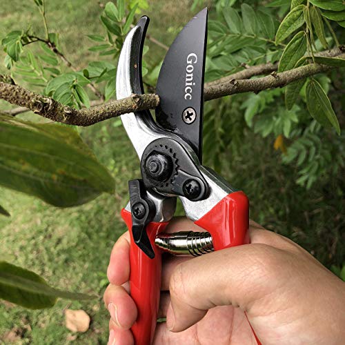 gonicc 8" Professional Sharp Bypass Pruning Shears(GPPS-1002) and Micro-Tip Pruning Snip (GPPS-1008), Tree Trimmers Secateurs,Hand Pruner, Garden Shears,Clippers for The Garden.