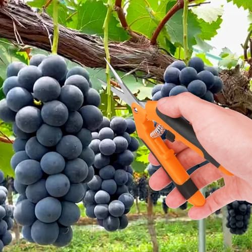 15 Pack 6.5 Inch Orange Garden Pruning Scissors, Stainless Steel Blades Hand Pruner, Sharp Point Gardening Shears Cutter, A Must-have Gardening Pruning Shear, Supplies & Accessories