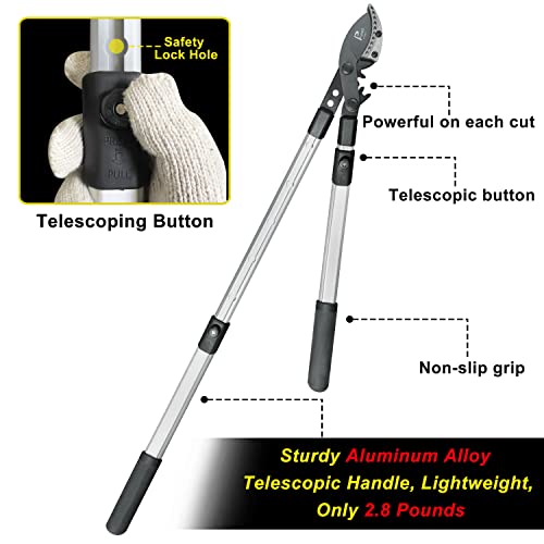 26-41 Inch Extendable Anvil Loppers, Sync Drive Leverage Tree Trimmers, Telescopic Pruners Heavy Duty, 2 Inch Cutting Capacity