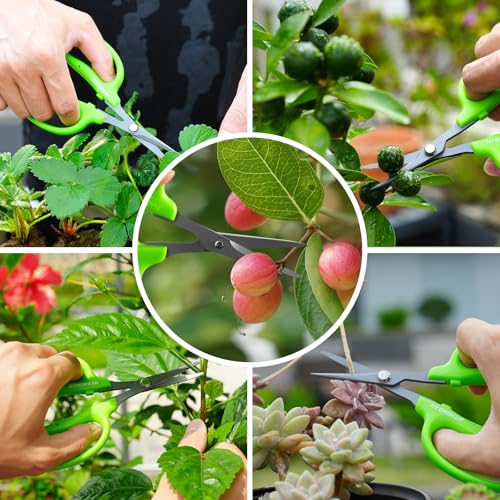 3pcs Garden Scissors Small Pruning Shears Gardening Snips Non-Stick Coating Sharp Steel Blade for Precise Cutters Bonsai Trimmer for Plants Flower Herb