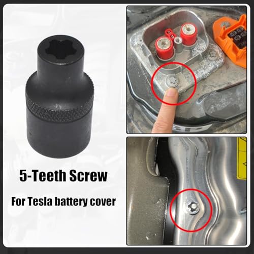19Pcs Torx Plus Socket Set, External Torx Plus 6 Point EP Socket EP4 - EP32 Black Case 19 PCS - EP Socket