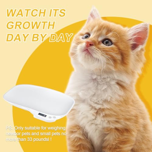 Digital Pet Scale, Weighing Scales up to 15 Kg for Puppy