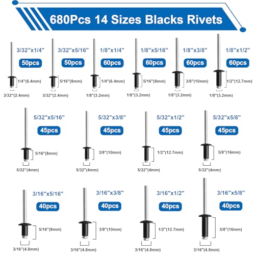 smseace 1001Pcs Pop Rivet Gun Kit Black Pop Rivets, Large Flange Rivets, Washers and Rivets Gun Tool Packed in Portable Toolbox with Color Label for Metal, Furniture, Automotive, Instruments
