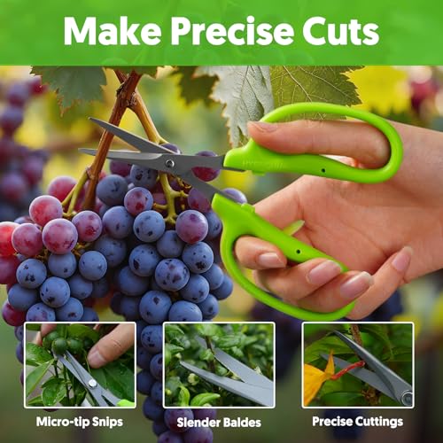 3pcs Garden Scissors Small Pruning Shears Gardening Snips Non-Stick Coating Sharp Steel Blade for Precise Cutters Bonsai Trimmer for Plants Flower Herb