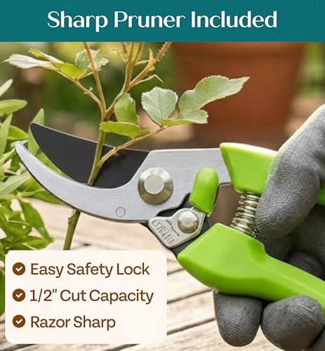 Heavy Duty Gardening Tools - Gardening Gifts for Women, Men, Mom, Dad - Durable, Ergonomic Garden Tools Set (Green) Standard
