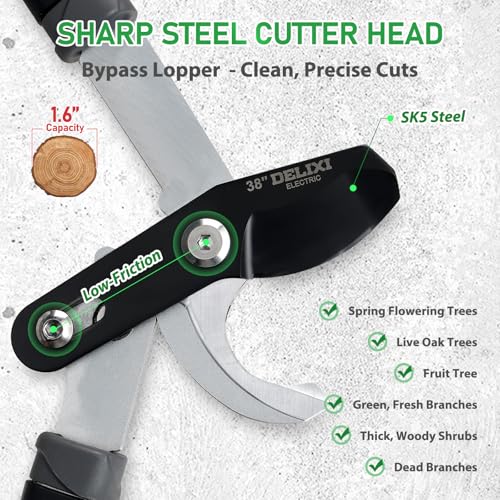 Extendable Loopers for Tree Trimming, 26-38'' Heavy Duty Thick Branches Cutter Lopping Shears with SK5 Steel Blade, Pruning Shears with 1.6” Cut Capacity, Loppers with Compound Action for Gardening