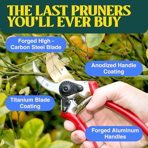 Haus & Garten ClassicPRO Titanium Bypass Pruning Shears and Replacement Blade Bundle