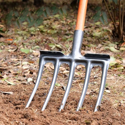 Digging Fork, Garden Digging Spading Fork, High Carbon Steel (5 Tine) 5 Tine