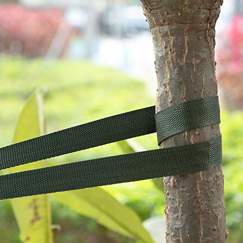 Shappy Tree Tie Strap Garden Webbing Strap Garden Plant Supports Tree Tie Staking and Guying for Outdoor Use, Plant Supports, Grafting, Straightening Supplies(Dark Green,443 Feet x 1 Inch) 443 Feet x 1 Inch Dark Green