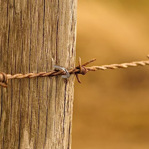 Therwen U Shaped Nails Wire Fence Staples Nails, 1 Inch Steel Fencing Spike, Galvanized U Shaped Fasteners Spike for Fixing Wire Woven and Mesh Fencing, Corrosion and Rust Resistant(1000 Pcs) 1000