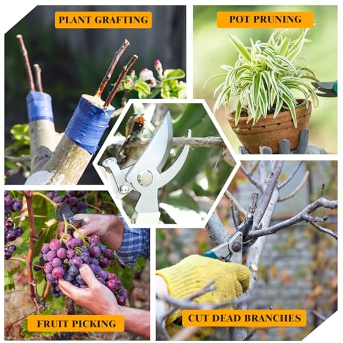 20 Pcs Pruning Shears for Gardening, Beige Garden Clippers Handheld Heavy Duty Plant Scissors Bypass Pruning Shears for Gardening Yard Hedge Flowers Tree Trimming Plant Cutter