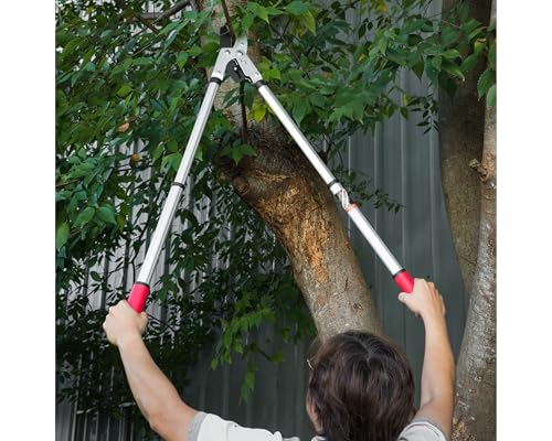 Kimura® Pro Heavy Duty Garden Loppers - 25-37", Premium Anvil Lopper with Advanced Ratchet Mechanism, Lightweight Telescopic Handles, Japanese SK5 Steel Blades, Extendable Garden Loppers 25"-37" Ratchet