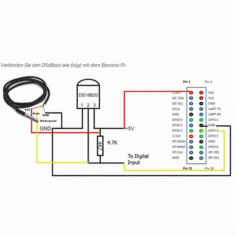 Pack of 2 Digital Temperature Sensors, Stainless Steel Temperature Sensor, Waterproof Probe, Temperature Sensor Cable for Temperature Monitoring