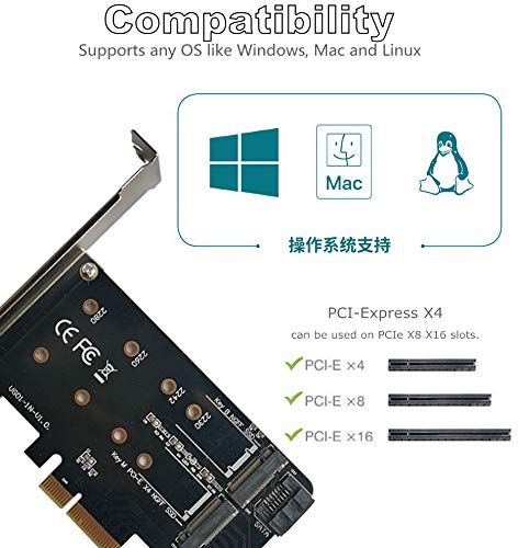 Valuegist Dual M.2 PCIE Adapter for SATA or PCIE NVMe SSD, M.2 SSD NVME (m Key) and SATA (b Key) 2280 2260 2242 2230 to PCI-e 3.0 x 4 Host Controller Expansion Card (MKeyBkey) MKeyBkey