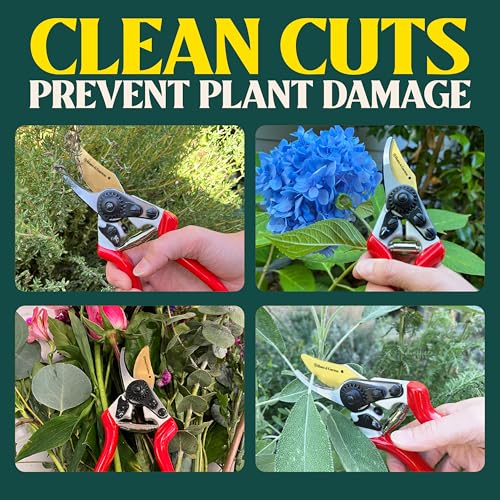 Haus & Garten PrecisionPRO Titanium Bypass Pruning Shears and Replacement Blade Bundle