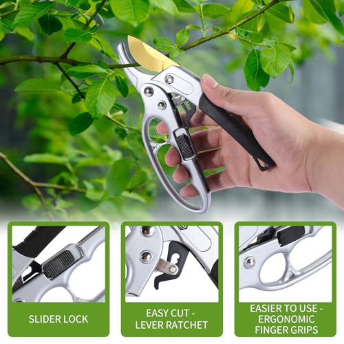 pruning shears & gardening gloves set