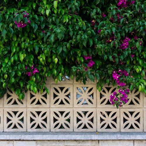 Colingmill 2 Pack Concrete Breeze Brick Molds 11.81'' Windmill Cement Hollow Brick Mold DIY Casting Reusable Cement Block Molding Wall Decorative Block Mould for Furniture Landscape