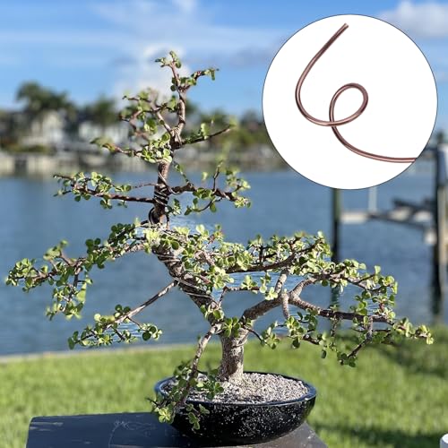 98 Feet Brown Anodized Aluminum Bonsai Training Wire, 4.0mm Anodized Aluminum Wire, 98 Feet Bonsai Plant Wire, Professional Grade Bonsai Training Wire for Crafts, Sculpting, Home Decoration 1 Roll (4.0 mm, 98 ft total) Brown Aluminum