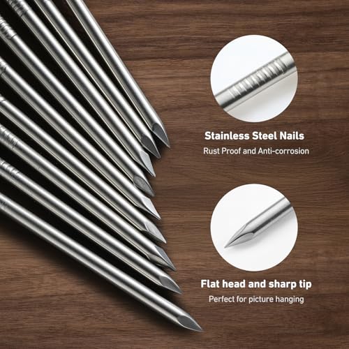 Hardware Nails Assortment Kit and 8oz Small Hammer, 800 PCS Nails for Hanging Pictures,Hammer and Nail Set, Small Hammers for Picture Hanging