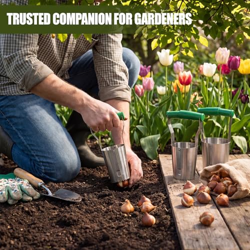 SiliFine 3 Sizes Bulb Planter Set (4.5", 3.7", 2.8") Stainless Steel