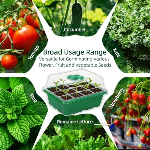 4-in-1 Seed Starter Kit with Mini Greenhouse & Tools