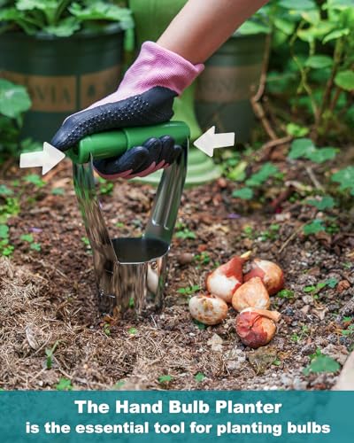 Dibber with 5 Inch Measurements Seed Dibber Garden Tool Hand Dibbler Seed Planter Tool Seed Dispenser Hole Digger for Planting + Bulb Planter Tool with Release Button&4Inch Measurements Tulip Planting