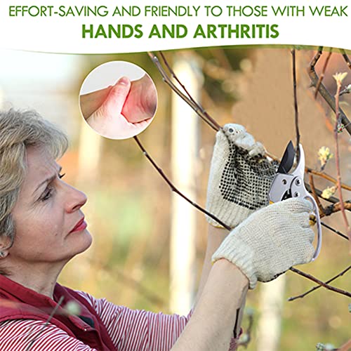 pruning shears & gardening gloves