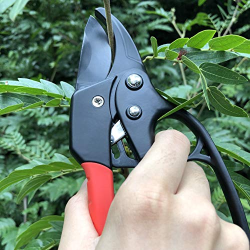 gonicc 8" Professional Ratchet Anvil Pruning Shears (GPPS-1011) and Hori Hori Garden Knife with Leather Sheath, Ratcheting Mechanism, Anvil Groove Design, Reinforced Design Handle.
