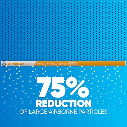 Arm & Hammer Enhanced Air Filter, 12x20x1, 4-Pack 8.0