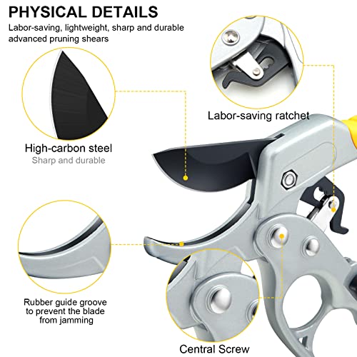 Professional pet nail clippers & garden pruning shears set