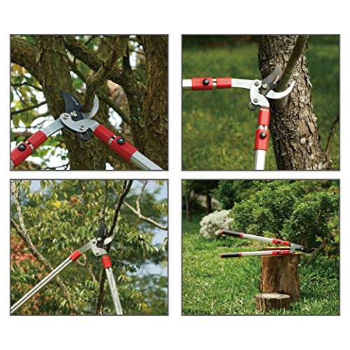 Eden 39021 Telescoping Bypass Lopper