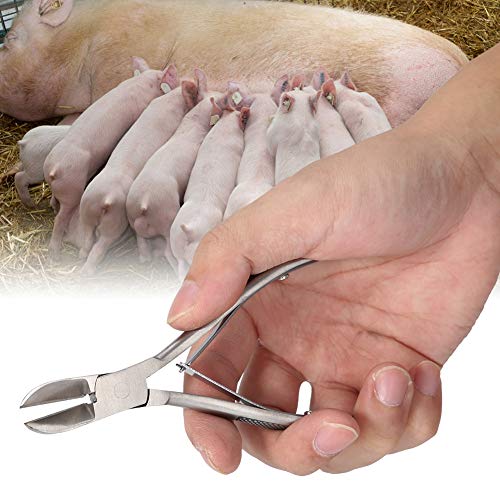 Pig Piglet Teeth Clipper Tweezers, Stainless Steel Tooth Cutter Scissors for Dog Piglet Elbow Clipper Tweezers with Pig Catcher for Paparazzi Elbow Shrapnel and Pi