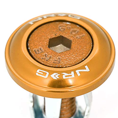 NRG Innovations Fender Washer Kit, 10-Piece Rose Gold Bolts and Washers Set, M6 x 1 Thread, for Plastic Trim & Universal Rivets, NRG-FW-150RG