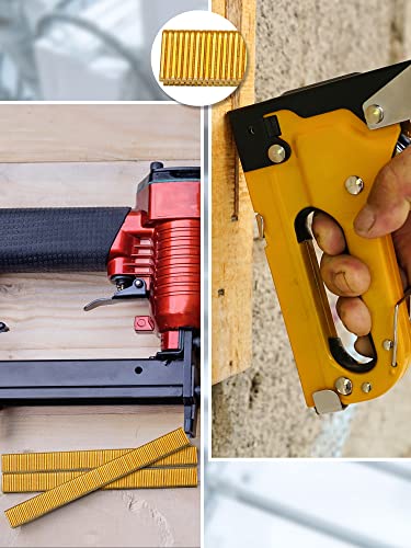 Tinlade 7500 Counts 18 Gauge 1/2 x 1/4 Inch Gold Galvanized Finish Narrow Crown Staples for Pneumatic, Electric Stapler/Brad Nailer