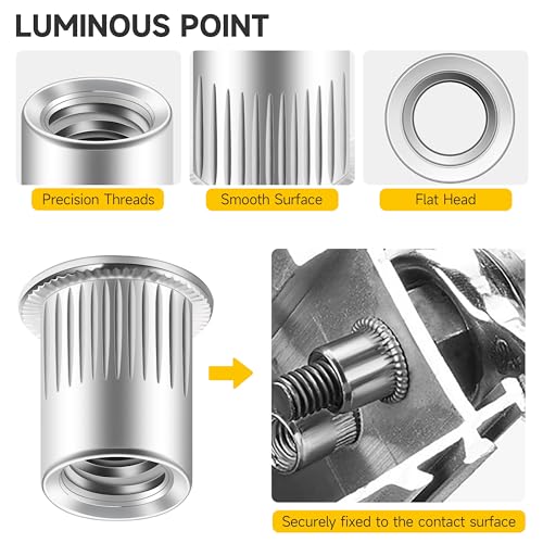 Mywish 180Pcs 1/4-20 5/16-18 3/8-16 T-nut Assortment Kit & 100Pcs 5/16 Nut Rivet Nuts, 4 Pronged T Blind T Nut， Wood Working, Furniture Hardware Nuts, Flat Head RIV Nuts Rivets Nutsert, 5/16-18 Nut