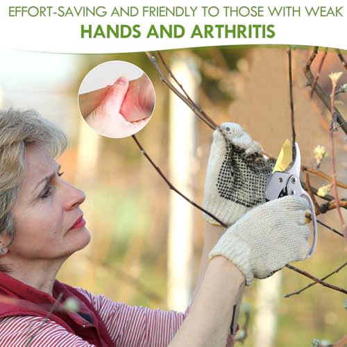 pruning shears & gardening gloves set