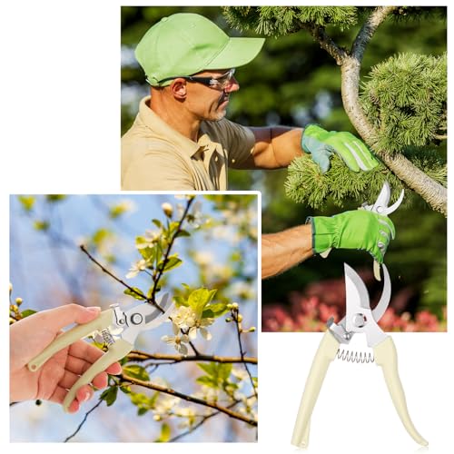 20 Garden Flower Shears Pruning Scissors Heavy Duty Plant Scissors Trimming Garden Clippers Hand Tree Pruner for Yard Gardening Plants Hedge Flower Tree Cutting Secateurs (Beige)