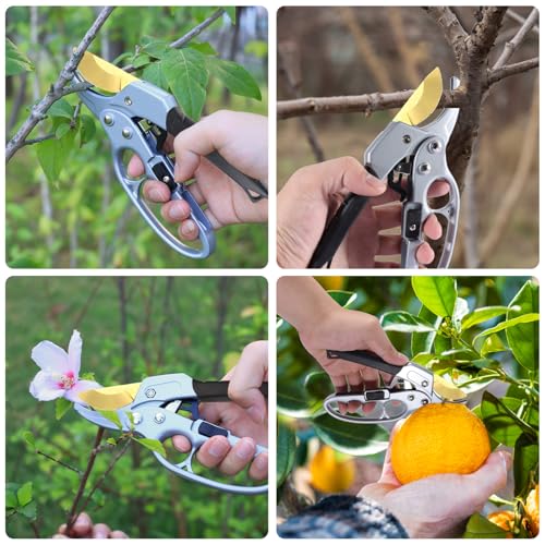 pruning shears & gardening gloves set