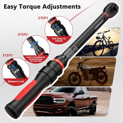 VANPO Torque Wrench 3/8-Inch Drive, 10-100 ft-lb, for Motorcycle