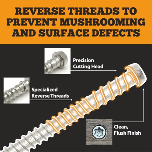 Stainless Steel Screws #10 x 2-1/2 Color Variety Pack - 225 Counts