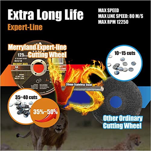 Merryland 230 X 1.9 Expert-line Cutting Disc Steel Metal Iron 25PCS | 230 mm angle grinder, 230 x 1.9 x 22.23 mm thin flex disc straight expert line E11111942 230 X 1.9 for steel metal