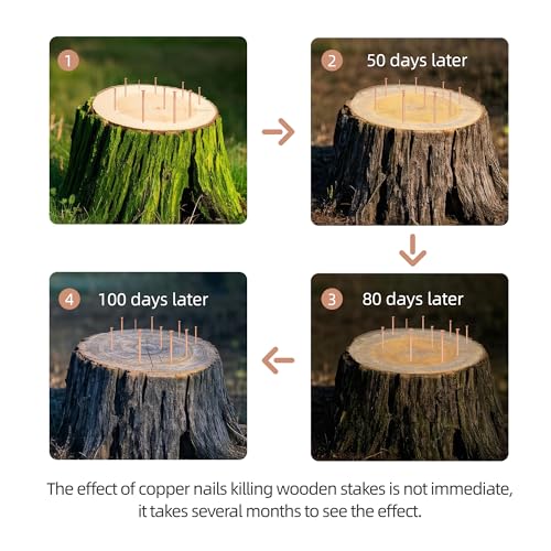 20 Pcs Copper Nails for Killing Trees, Stumps & Roots, 3.15 Inch Long Pure Copper Nails Bulk, Stump Removal Spikes with 1 Pcs 3.15 Inch Long Steel Nail and 1 PCS Drill (3.15 inches) 3.15 inches